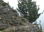 Cdn Rockies Adventure (Aug 2010) - Lake OHara - 005
